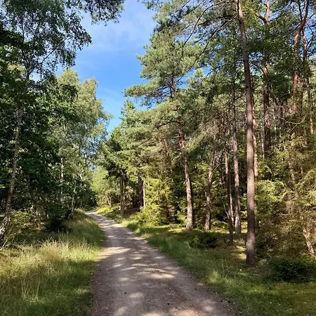 60s Modernism By Σπίτι διακοπών Rageleje