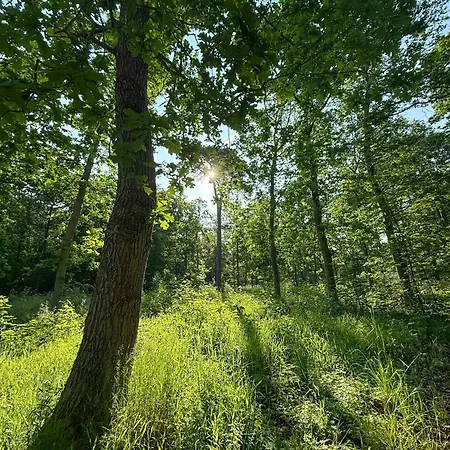 60s Modernism By Σπίτι διακοπών Rageleje