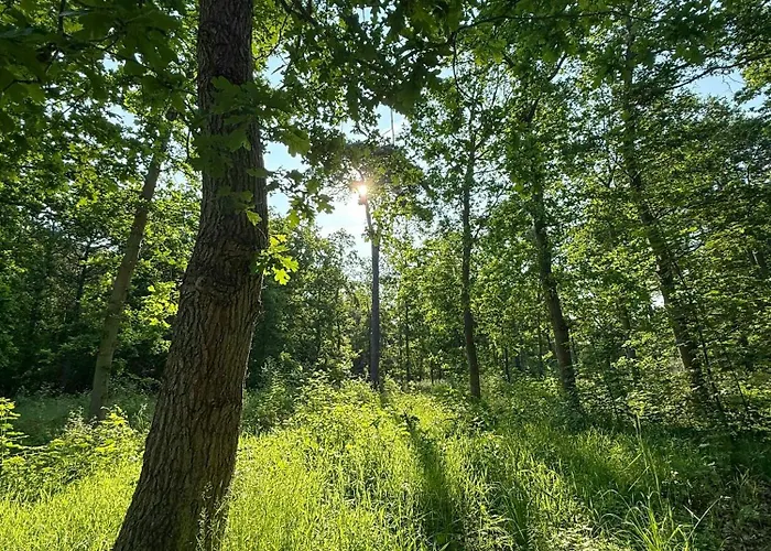 60s Modernism By Prázdninový dům Vejby